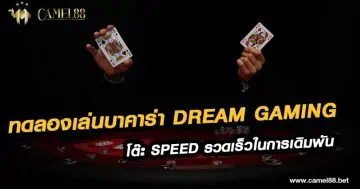 ทดลองเล่นบาคาร่า Dream Gaming