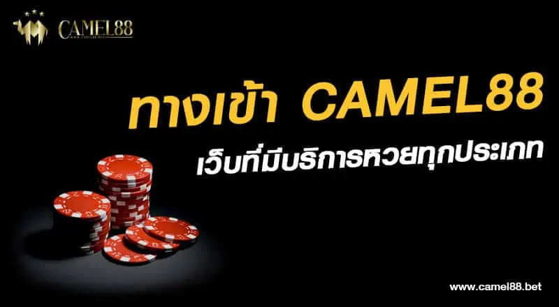 ทางเข้า camel88