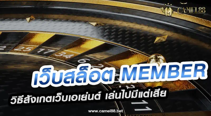 เว็บสล็อต member