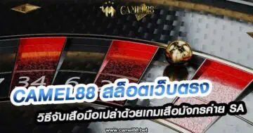 Camel88 สล็อตเว็บตรง