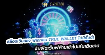 สล็อตเว็บตรง ฝากถอน true wallet ไม่มีขั้นต่ำ